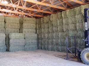 barn full of stacked hay bales